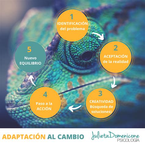 Adaptación Al Cambio Julieta Domenicone Psicología Granada Blog