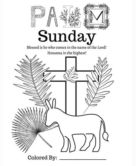 Palmsundaycoloringpg The Anglican Diocese South Carolina