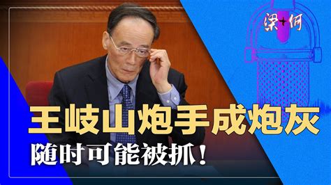 王岐山晕了，炮手成炮灰！何时被抓，全看习近平 梁何（22） Youtube