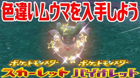 【ポケモンsv】色違いムウマを入手しよう【ポケットモンスター スカーレット・バイオレット】pocket Monsters ポケモン関連情報