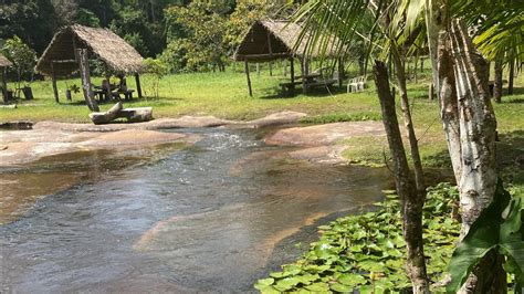 CACHOEIRA DO APOLÔNIO EM SÃO MIGUEL DO GUAMÁ PARÁ YouTube