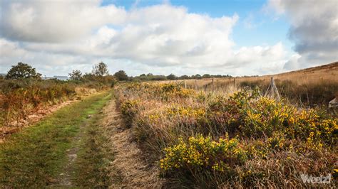 Un Trip V Lo Gravel Bikepacking Travers La Bretagne Weelz Fr