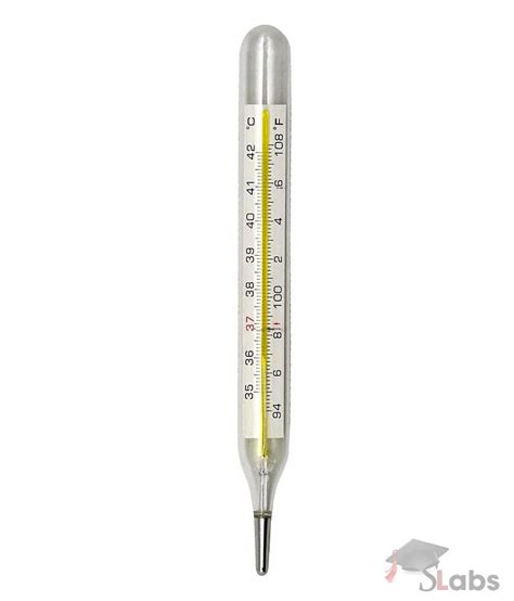 Clinical Thermometer Scholars Labs