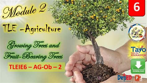 Tle 6 Agriculture Module 2 Growing Trees And Fruit Bearing Trees Youtube