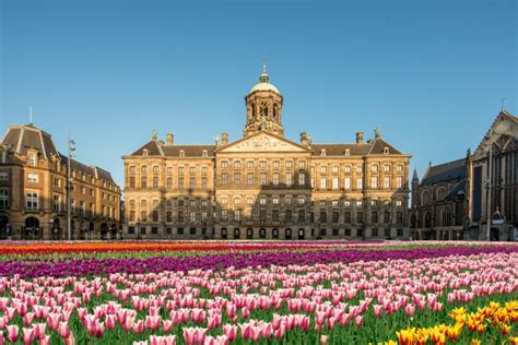 Musei E Gallerie Di Amsterdam Amsterdam Net