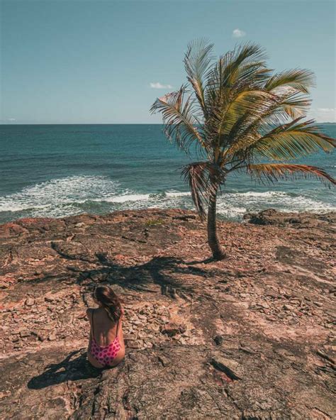 Ilha De Santo Aleixo Pe Roteiro De Dia