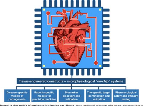 Figure 1 From Biomimetic Cardiovascular Platforms For In Vitro Disease