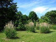 Category:Knoxville Botanical Garden - Wikimedia Commons