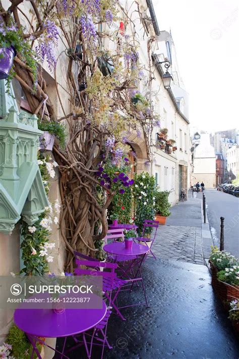 beautifully decorated au vieux paris darcole restaurant  ile de