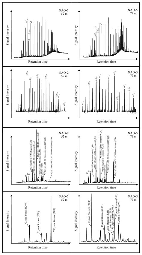 A B Gas Chromatograms Mass Chromatograms Tic C D Mz 85 Mass Download Scientific Diagram