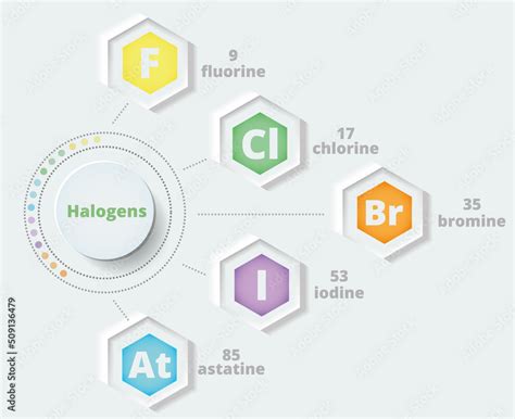 Fluorine Periodic Table Group | Cabinets Matttroy