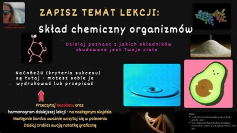 Skład chemiczny organizmów lekcja multimedialna