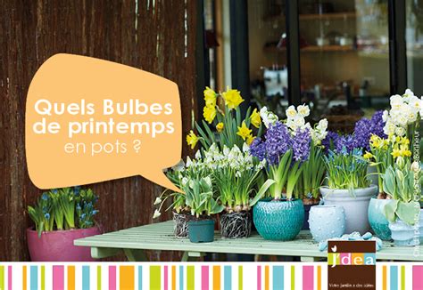 Quels bulbes de printemps choisir pour des pots Jardin Actualités