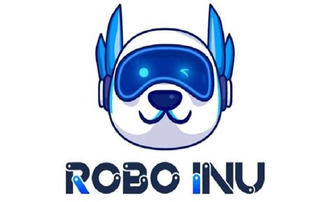 Guide To Accepting Robo Inu Finance Payments For Businesses