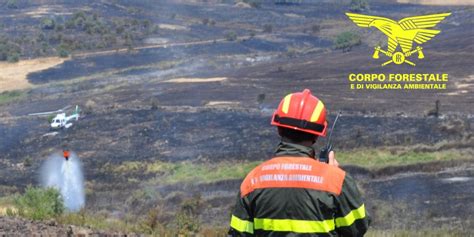 Fiamme Nelle Campagne Di Sagama Sul Posto Il Corpo Forestale Sardegna