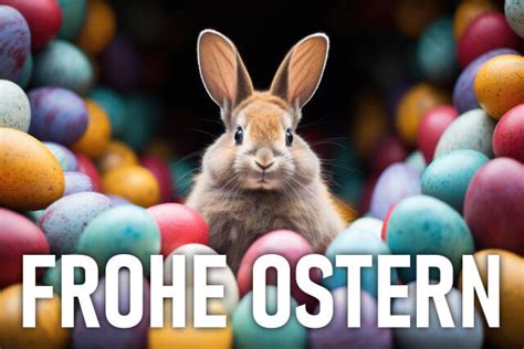 Osterhase Mit Bunten Eiern Kostenloses Foto Auf Ccnull De Pixelio Cc