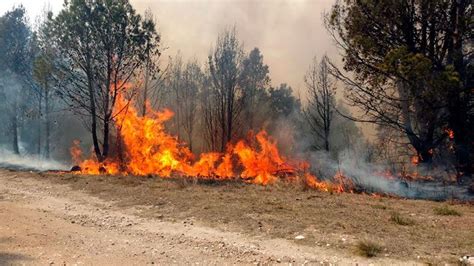 Más Imágenes De La Conae Sobre Los Incendios En Córdoba Agendar