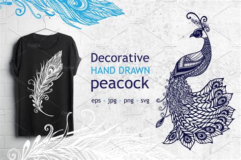 Fancy Hand Drawn Peacock Set Decorative Illustrations ~ Creative Market