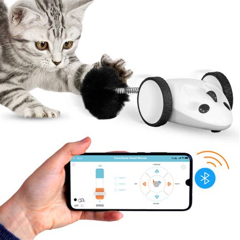 Purechase Smart Mouse (App Enabled) | Smart Cat Toy | Instachew