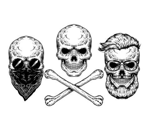 Vector Illustration Of A Skull And Crossbones Download Free Vectors