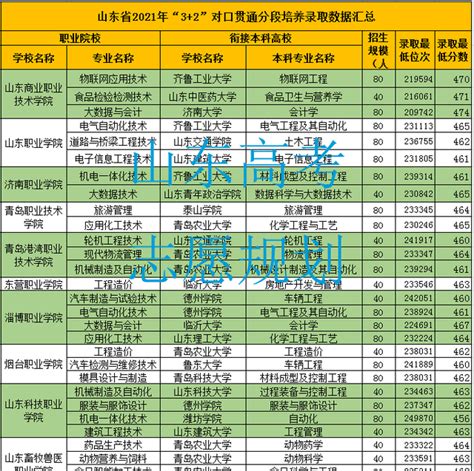 2021山东高考志愿填报指南pdf 闪电鸟