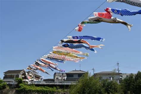 【鯉のぼり】各部の名称とは？種類（まごい・ひごい・吹き流し）と色の意味