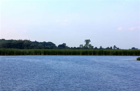 Across The Lake At Chain O Lakes State Park Illinois Image Free