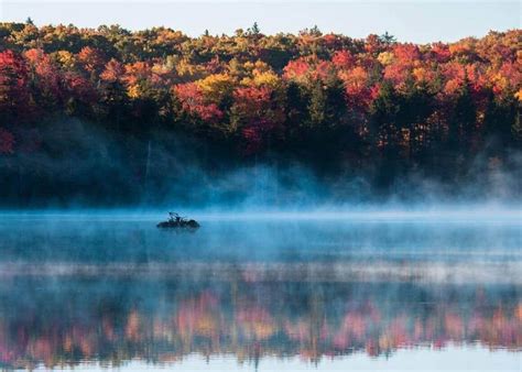 Forest photography: How to take dreamy photos in the woods