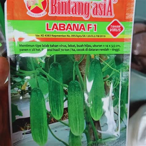 Benih Timun Labana F Kemasan Gram Untuk Tanam Skala Kebun Produk By