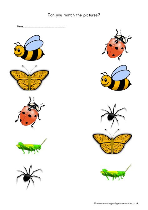 Mini Beasts Matching Pictures Worksheet Mummy G Early Years Resources