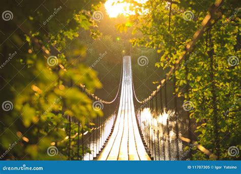 A Suspension Bridge Over The Storms River Mouth In South Africa Royalty