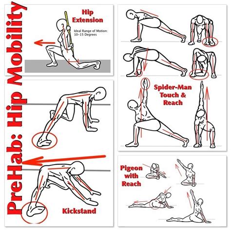 PreHab Exercises — Hip Mobility The Hips are the Prime Movers in...