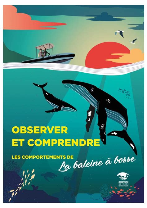 Guide De L Observateur Lexique Des Comportements De La Baleine