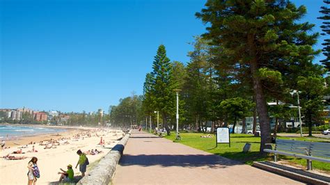 Manly Beach Sydney New South Wales Attraction Au