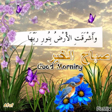 Good Morningصباح الخير Good Morning Arabic Good Morning My Love