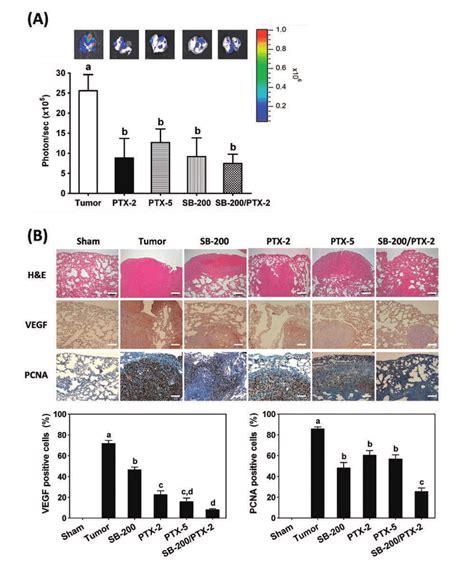 Silibinin And Paclitaxel Inhibit Lung Metastasis Of 4t1 Cells In