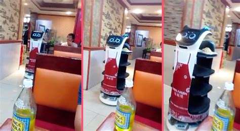 Chifa De Villa Sol Implementa Gato Robot Mesero Y Se Vuelve Viral Con