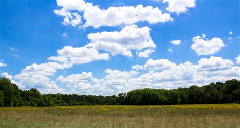 Free Images Landscape Tree Nature Outdoor Horizon Cloud Sky