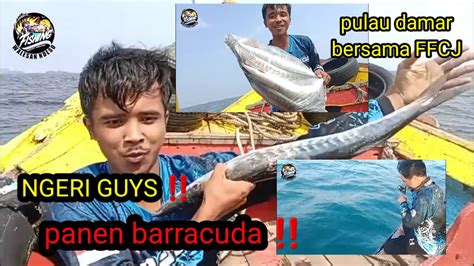 PANEN BARRACUDA GUYS Keseruan Mancing Ngapung Bersama Team Hore