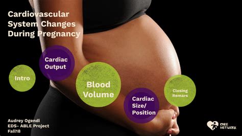 Cardiovascular System Changes During Pregnancy By Audrey Ogendi On Prezi