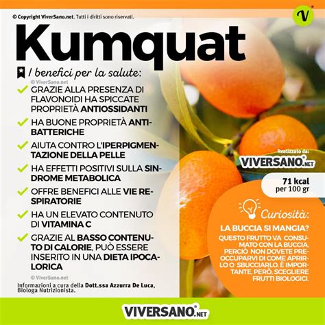 Kumquat mandarino cinese proprietà e come si mangia