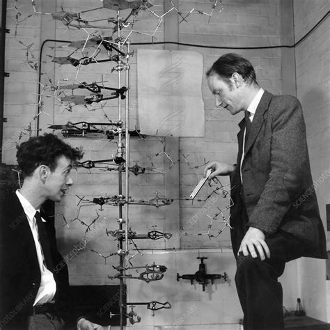 Watson And Crick Stock Image H Science Photo Library