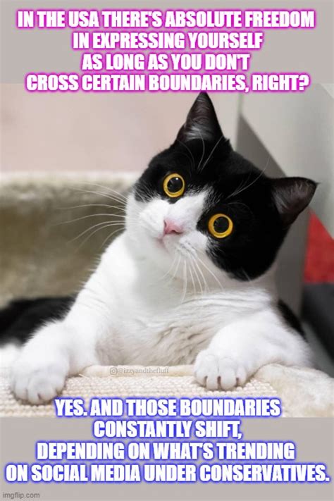 This Lolcat Wonders No More Why Americans Seem Constantly Confused