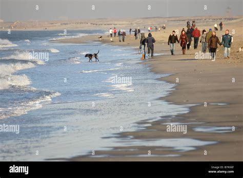 Crowd Many People Walking Hoek Van Holland Beach Seashore Winter Water