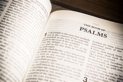 The Psalms The Churchs Song Book