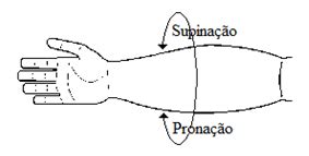 Supinacao E Pronacao - Movimento De Pronacao