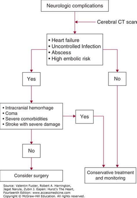 Pathophysiology Of Endocarditis In Flow Chart Labb By Ag