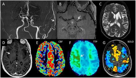 Frontiers Implementation And Rationale For A Unified Clinical And