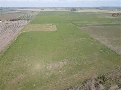 Campo En Venta 10 Has Agrícolas A 500 M De Ruta Agrofy