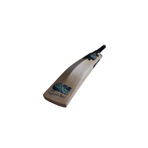 Gm Aion Signature Cricket Bat 2024